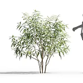 Green Leafy Shrub With Female Silhouette Carrying Handbag In High Heels