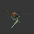 Insect with Green Transparent Wings and Brown Body on Reflective Surface