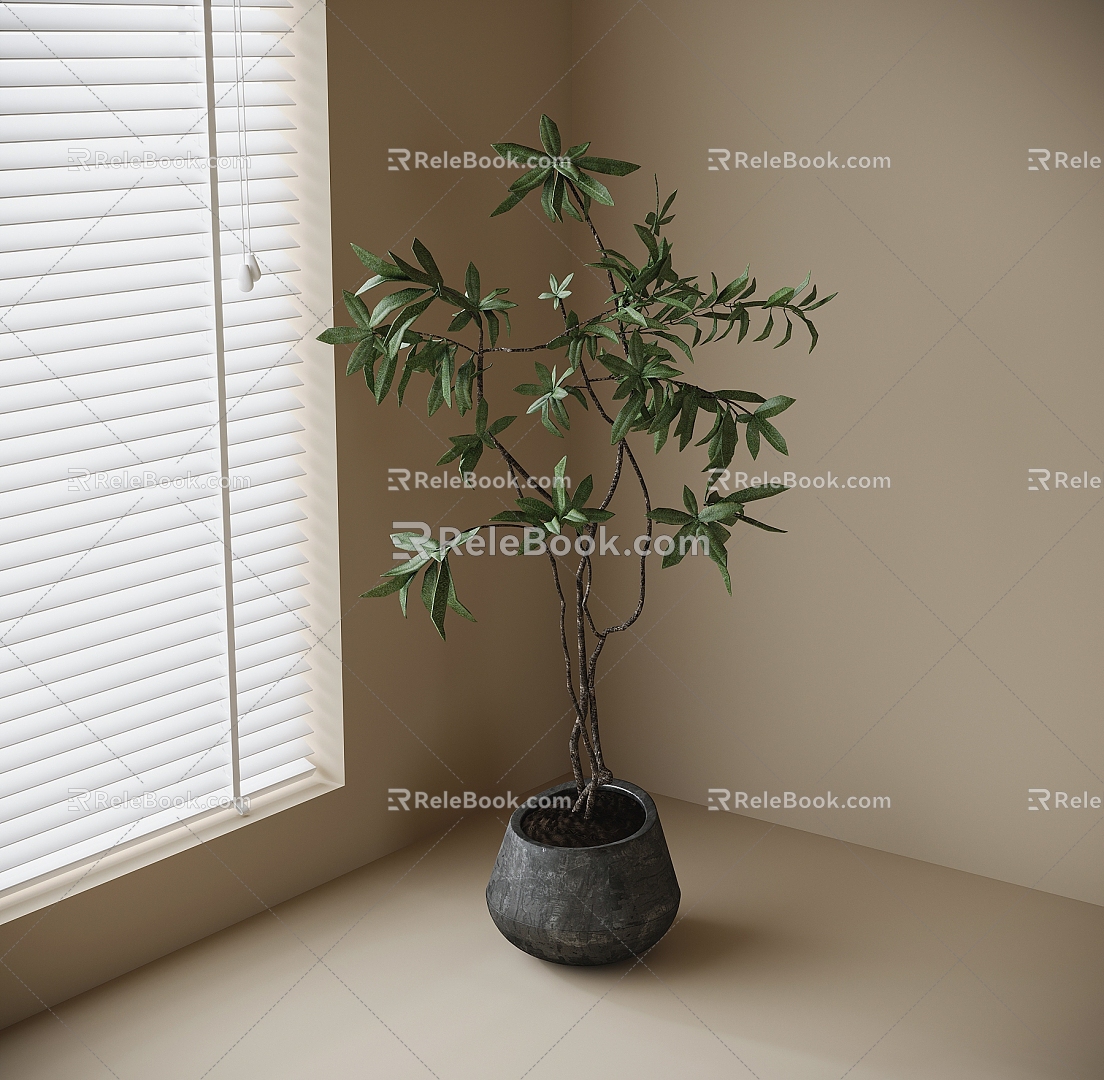 bonsai plant ornaments plant green plants 3d model