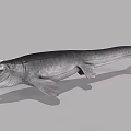 Prehistoric Mosasaurus Marine Reptile With Open Mouth And Sharp Teeth