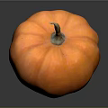 Single Orange Pumpkin with Green Stem on Black Reflective Background