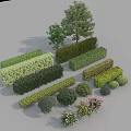 Various Shaped Garden Shrubs Including Hedges Rounded Bushes And Landscaping Plants