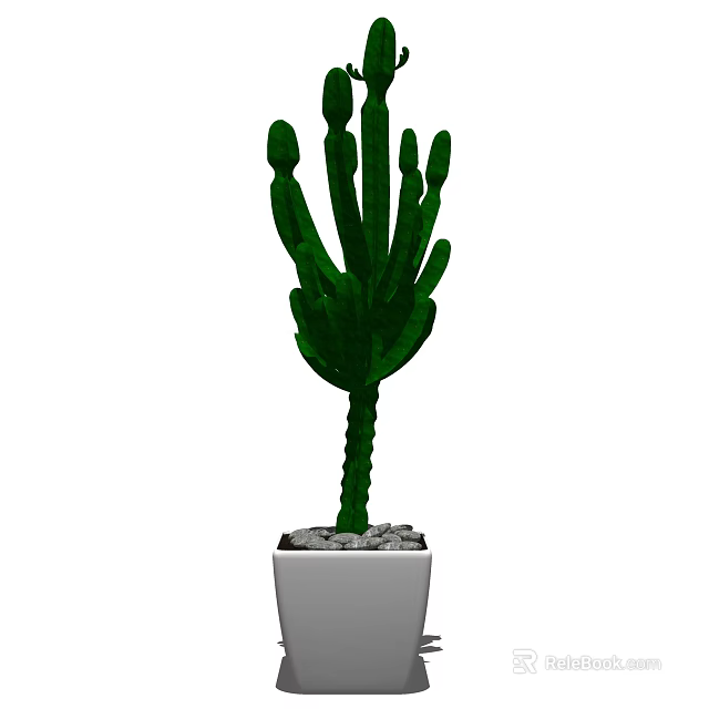 Green Cactus Bonsai Potted Plant in White Pot with Small Stones 3d model 
