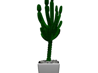 Green Cactus Bonsai Potted Plant in White Pot with Small Stones 3d model