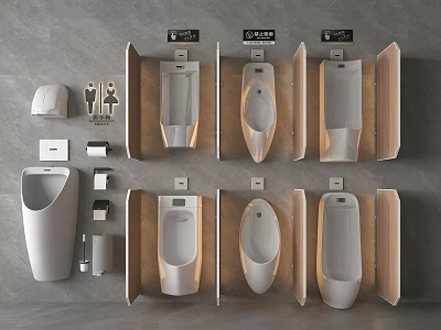 Modern Urinal Multiple Styles Wall Mounted With Wooden Partitions And Accessories 3d model