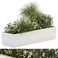 Rectangular White Wooden Planter With Green Grasses And White Flowers For Indoor Outdoor Container Garden