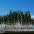 Bamboo Grove Under Blue Sky with White Clouds Near Water Rocks Green Grass and Flowers