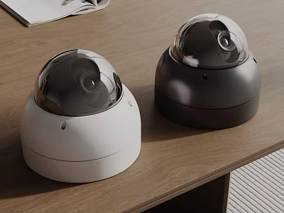 Two Dome Security Cameras In White And Black On Desk 3d model