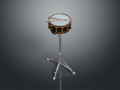 Professional Snare Drum Equipment With Adjustable Metal Stand And White Drumhead 3d model