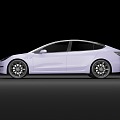 L119 Tesla Model3 purple 3d model