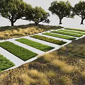Green Grass Strips Neatly Arranged in Outdoor Garden with Dry Grass and Trees