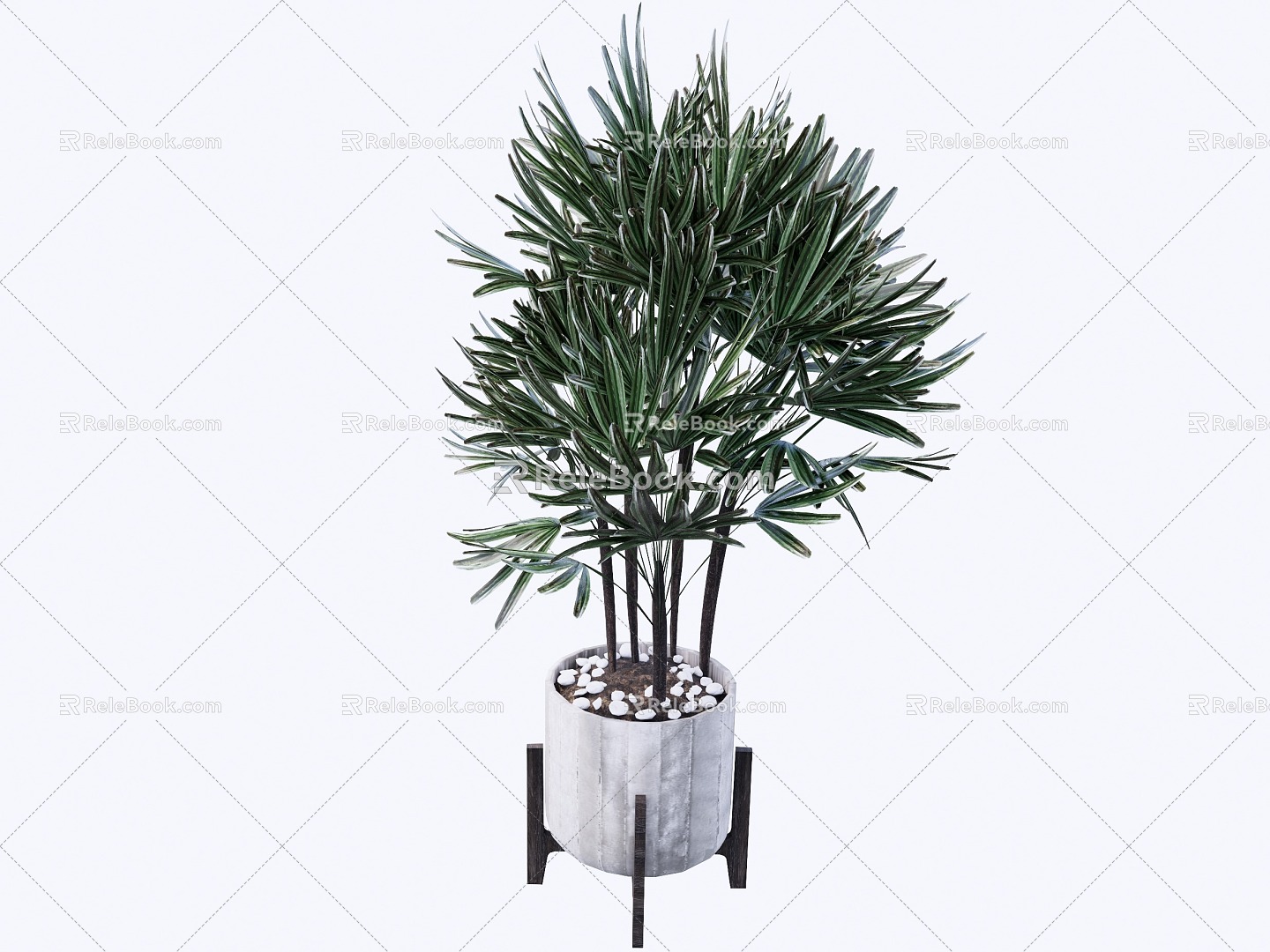 Modern indoor potted plants 3d model