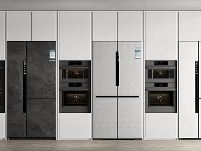 Modern Kitchen Interior Built in Refrigerators and Freezers with Oven Appliances 3d model