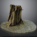 Natural Weathered Tree Stump Outdoor Scene With Gravel Base And Small Green Plants