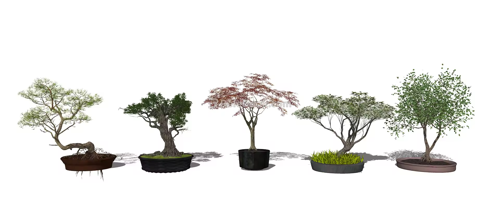 modern tree landscape tree arbor 3d model