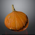 Fresh Ripe Orange Striped Pumpkin With Green Stem On Dark Background