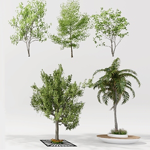 Trees Arbor Landscape Trees Landscape Trees Landscape Trees Landscape Trees Courtyard Landscape Trees 3d model