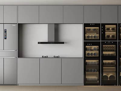 Modern Gray Kitchen Cabinets With Integrated Refrigerator Oven And Wine Storage 3d model