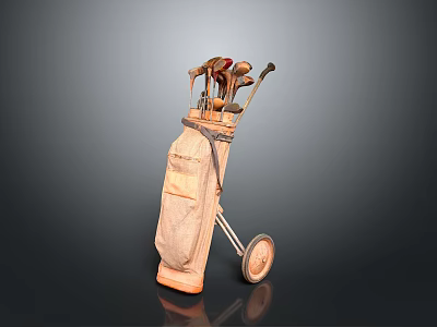 Portable Golf Bag with Wheels and Golf Clubs for Daily Use Sports Enthusiasts 3d model