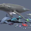 Various Marine Animals Collection With Whale Dolphin Shark Jellyfish Octopus And Small Fish