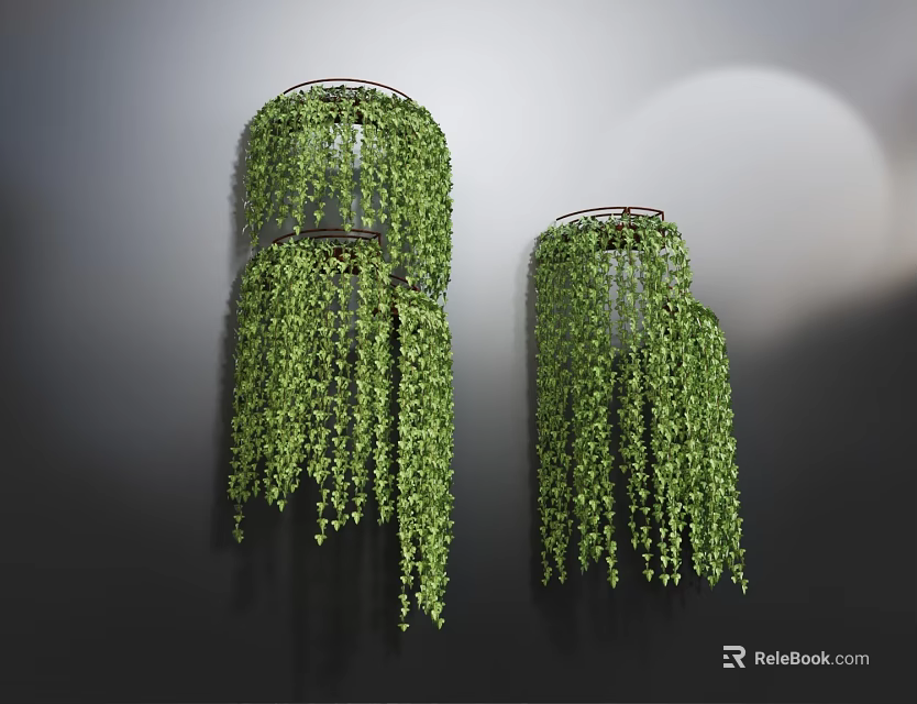 Lush Hanging Basket Plants With Trailing Green Leaves And Indoor Wall 3d model 
