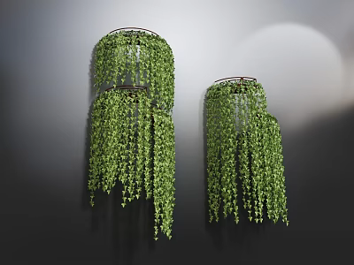 Lush Hanging Basket Plants With Trailing Green Leaves And Indoor Wall 3d model