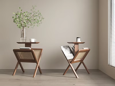 Wooden Side Tables With Rattan Details Vase Green Plants Cup Magazine Light Wall Wooden Floor 3d model