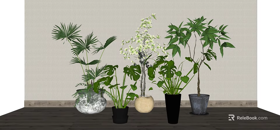Potted Plants with Various Green Leaves and White Flowers in Different Pots for Indoor Decor 3d model 