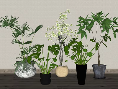 Potted Plants with Various Green Leaves and White Flowers in Different Pots for Indoor Decor 3d model
