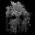 Various Indoor Potted Plants With Metal And Black Stand Planters And Green Foliage