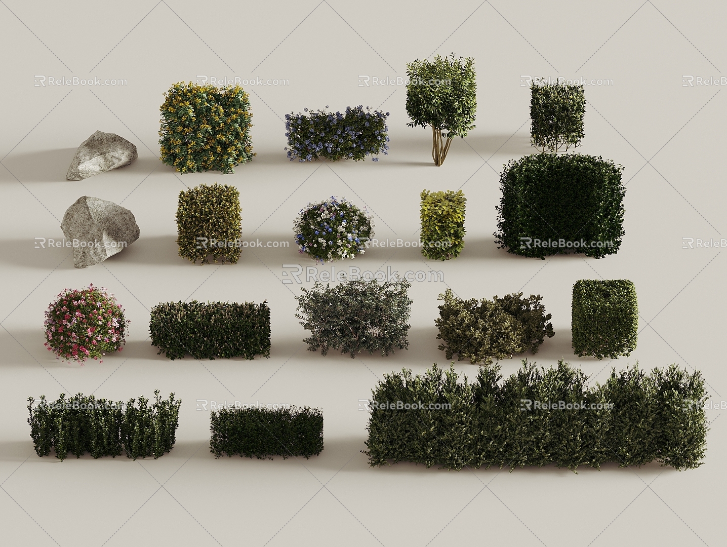 Shrubs, flowers and plants 3d model