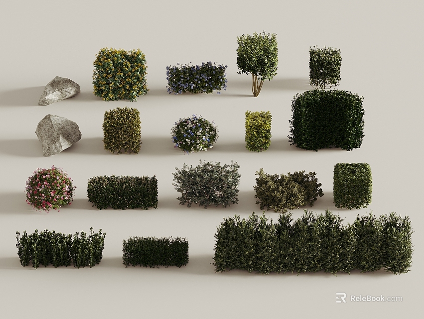 Various Types of Garden Shrubs With Rounded Square Flowering and Low Growing Forms 3d model 
