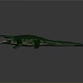 Detailed Green Crocodile with Open Mouth and Scales on Gray Background