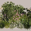Mixed Plant Combination With Diverse Colorful Flowers And Lush Green Foliage