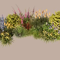 Vibrant Plant Combination With Purple Flowers Orange Blooms Yellow Small Flowers And Green Foliage