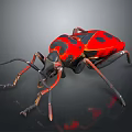 Vibrant Red And Black Spotted Beetle With Detailed Legs On Dark Background