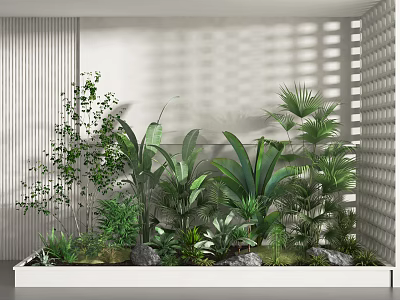Lush Indoor Plant Arrangement With Tropical Foliage And Decorative Stones 3d model