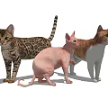 Cat Combo 3d model