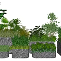 Various Bonsai Potted Plants With Lush Green Foliage And Stone Planters