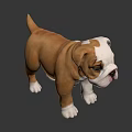 Realistic Brown And White Bulldog Puppy 3D Model With Standing Pose