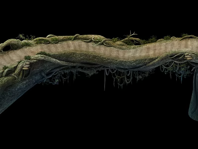 Natural Wooden Stone Bridge Structure With Twisted Roots And Hanging Moss Vines 3d model