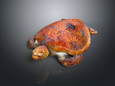 Marine Reptile Adult Turtle With Orange Brown Patterned Shell And Detailed Texture On Dark Background 3d model