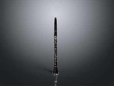 Black Clarinet As Household Item Standing Upright On Grey Background With Reflection 3d model