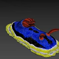 Vibrant Colorful Sea Slug With Blue Body Yellow Edge And Red Tentacles