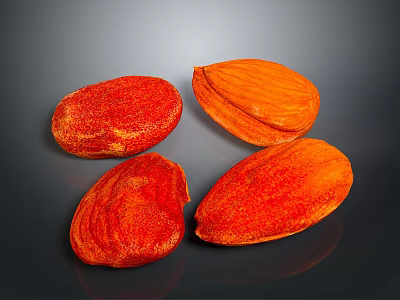 Four Fresh Red and Orange Textured Almonds on Dark Background 3d model