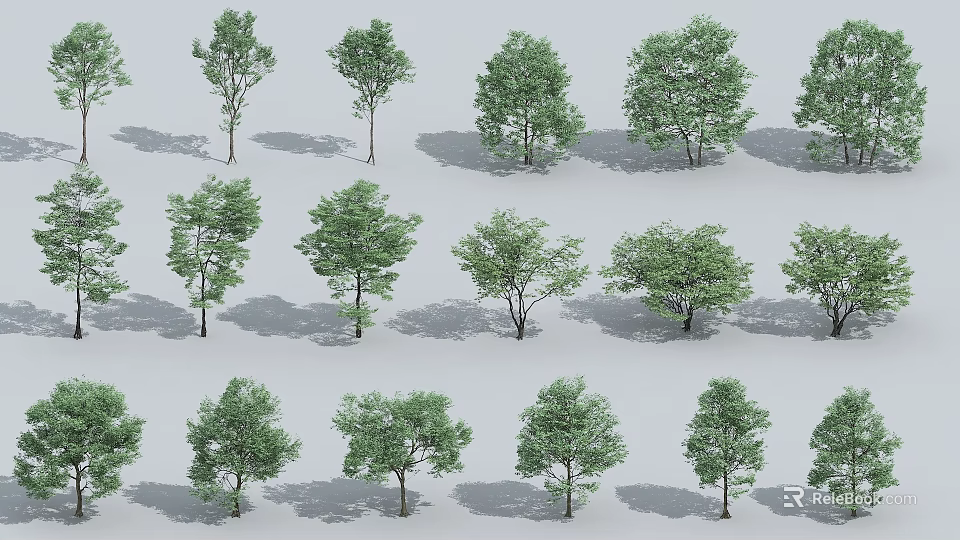 Various Types of Arbor Trees With Different Shapes and Lush Green Foliage 3d model 