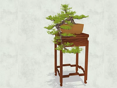 Bonsai Plant with Curved Branches in Terracotta Pot on Wooden Stand 3d model