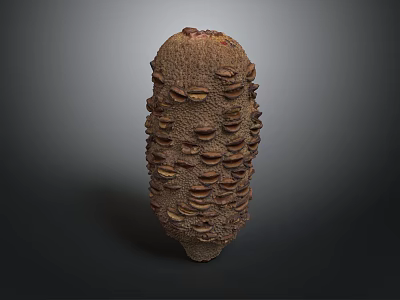 Detailed Organ Structure With Hair Like Protrusions And Natural Textured Surface 3d model