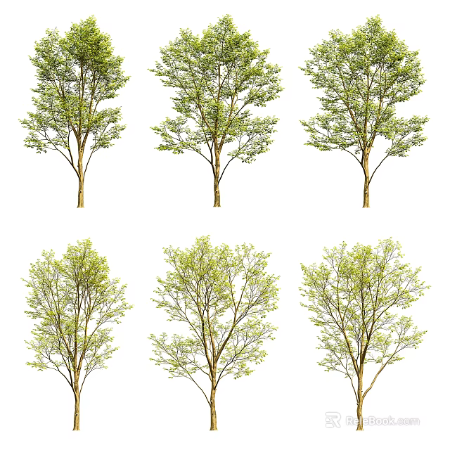 Multiple Vibrant Green Trees With Lush Leaves And Brown Trunks In Outdoor Space 3d model 
