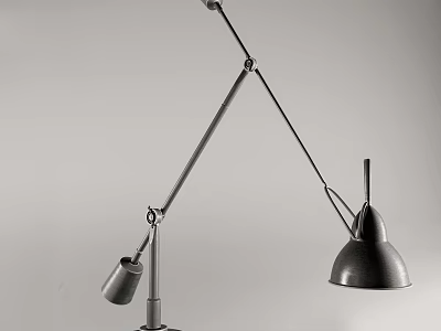 Modern Adjustable Desk Lamp With Flexible Arm And Metal Shade Design 3d model